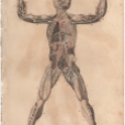 Anatomy, London Encyclopedia, Vol. 2, Plate 5